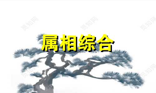 沙中土命是哪一年什么生肖 沙中土命的人命运如何 沙中土命这个命好不好? 