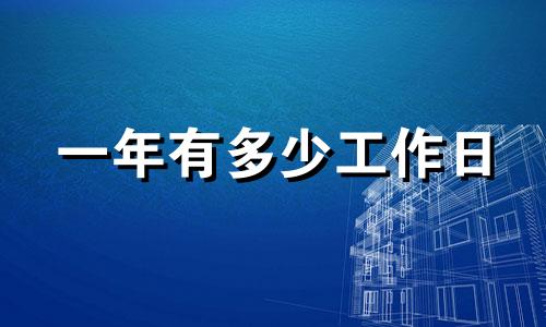 一年有多少工作日 2023年一年有多少个工作日