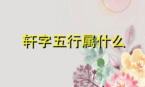 轩字五行属什么 轩字五行属什么和意义取名