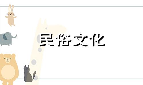  狮子座的生日花泽菊花代表什么花语 泽菊生日花的寓意和象征