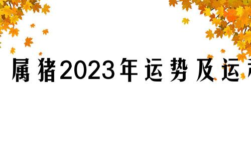 属猪2023年运势及运程 属猪2023年运势及运程2007年出生