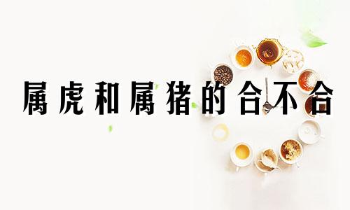 属虎和属猪的合不合 属虎和属猪千万不能在一起