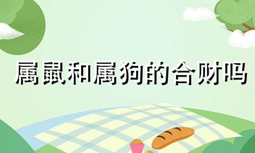 属鼠和属狗的合财吗 属鼠和属狗做生意可以合作吗