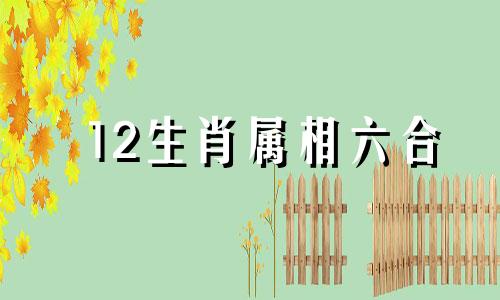 12生肖属相六合 12生肖的6合肖分别是什么