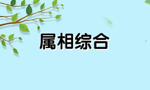  属鼠和属猴做生意可以合作吗 属鼠和属猴的合不合财运