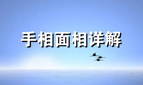  鼻翼大的男人是什么面相 鼻翼大的女人面相好不好 鼻翼宽的女人面相 解析