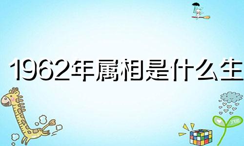 1962年属相是什么生肖 1962年属相是什么命