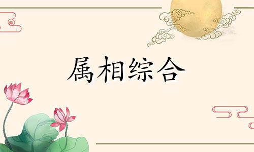  92年属什么生肖婚配 92年属猴2024年的运势和婚姻