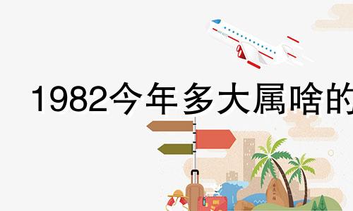 1982今年多大属啥的 1982今年多大了2023 1982今年的运程如何