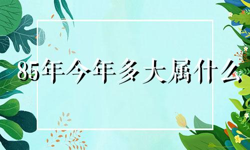 85年今年多大属什么 1985年属牛人的性格详解