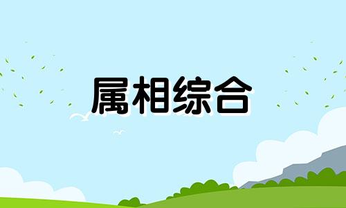  2007年出生的猪是什么命 2007年出生2024年多少岁