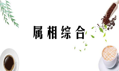 属牛今年感情婚姻如何 属牛今年的运气和财运怎么样