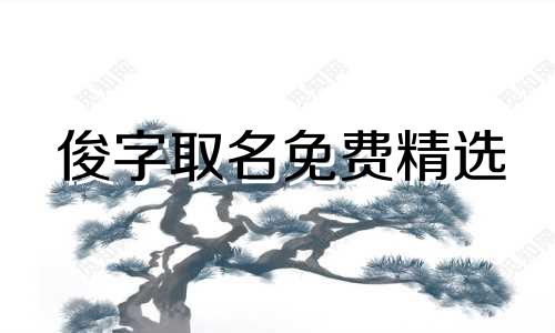 俊字取名免费精选 男孩子名字俊字的有哪些名字 俊字男孩取名大全