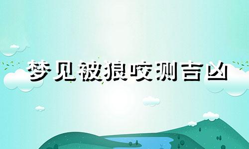 梦见被狼咬测吉凶 梦见被狼咬好吗 梦见被狼咬住不松口