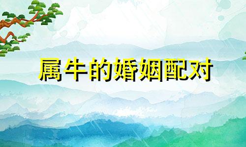 属牛的婚姻配对 属牛的婚姻与命运 属牛的婚姻配对最佳属相