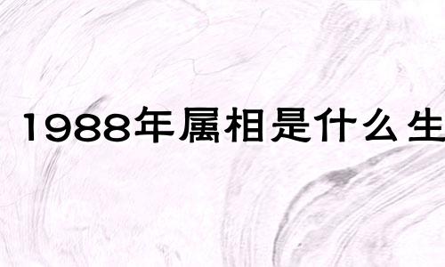 1988年属相是什么生肖 1988年属蛇人2024年运势及运程