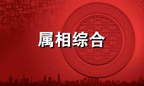  属狗和属鼠能做夫妻吗 属狗和属鼠的属相合吗 属狗和属鼠的相合吗