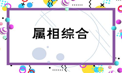  虎跟狗生肖合不合 虎跟狗属相合不合财 属虎和属狗的婚姻怎么样