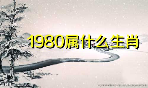 1980属什么生肖 今年多大了 1980属什么猴 1980属什么五行