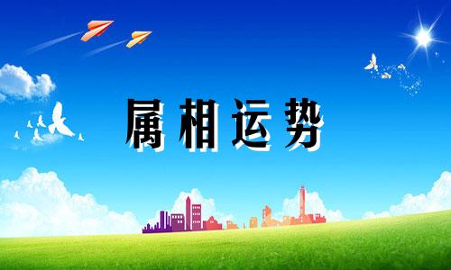  81年属什么今年多大什么命 81年属鸡2024年全年整体运势如何