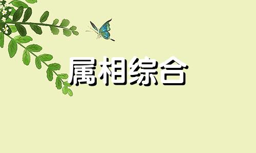  70年属狗在2024年财运及运势 1970年属狗2024年运势及运程每月运程