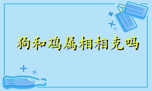 狗和鸡属相相克吗 狗和鸡属相八字相合吗 狗和鸡属相能配夫妻吗属狗