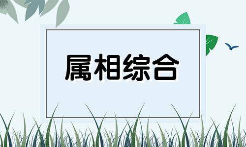  猴和什么属相最旺财 猴和什么属相是三合 猴和什么属相6合3合