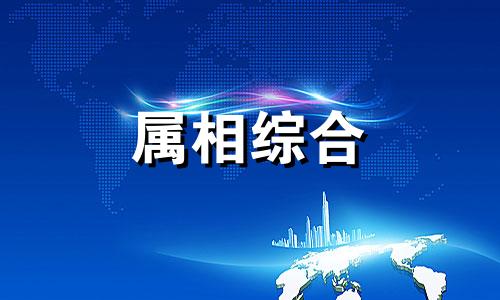  属猪和属鼠的婚姻怎么样 属猪和属鼠的合不合 属猪和属鼠的结合好不好