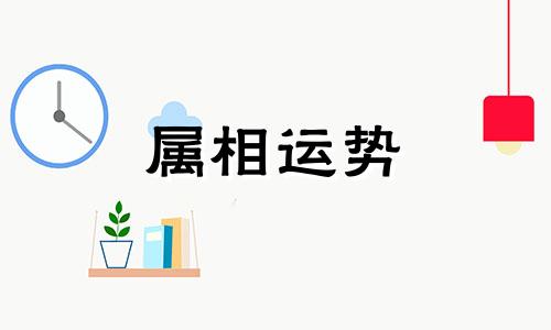  属鼠今年运势好不好 属鼠今年运势2024年每月运势怎么样