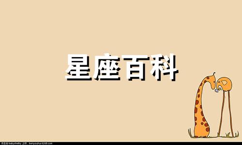  双子座和双子座的婚姻怎么样 双子座和双子座谈恋爱合适吗