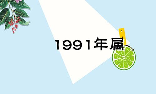 1991年属 1991年属什么命五行 1991年属羊是土命还是火命