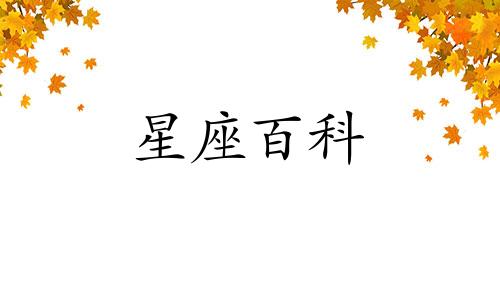  2004年狮子座的运势 狮子座的运势详解2024