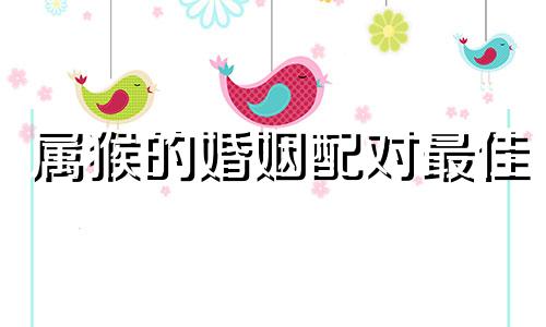 属猴的婚姻配对最佳 属猴的婚姻状况怎么样,不同属相结合