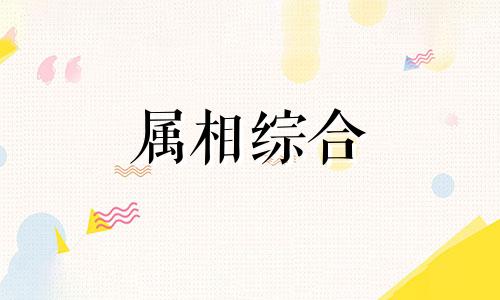  94年属什么生肖婚配 94年属什么的生肖婚配最好