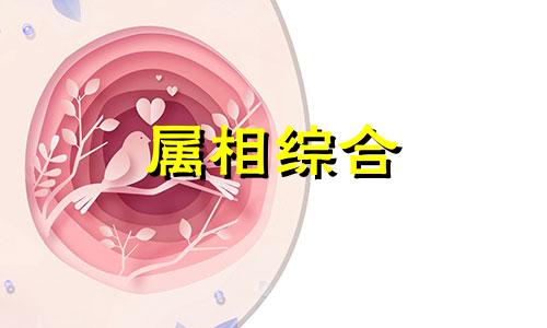  虎和兔在一起财运好吗 虎和兔相冲还是相克