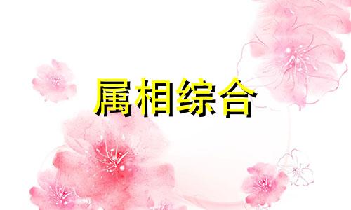  属鼠和属猴生什么属相宝宝好