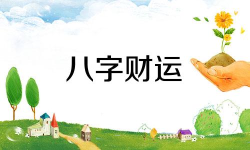  两个属兔的八字合吗 八字有两个兔怎么样