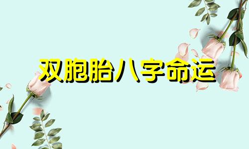 双胞胎八字命运 双胞胎时辰八字一样怎么算命