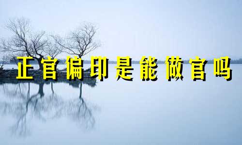 正官偏印是能做官吗 十神正官偏印是什么意思