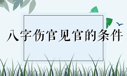 八字伤官见官的条件 八字伤官见官男命