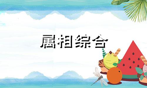 命有双鼠格局什么意思 八字中的双鼠命格代表什么