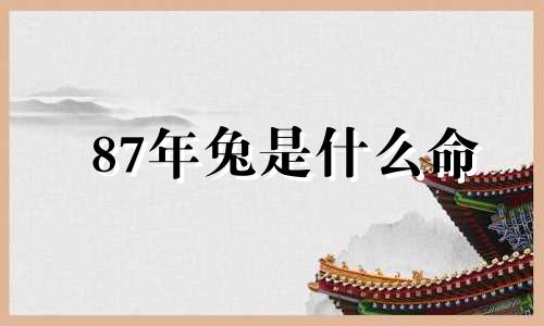 87年兔是什么命 五行 87年兔2024年下半年运势