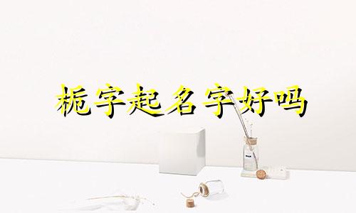 栀字起名字好吗 好听的有栀字的名字