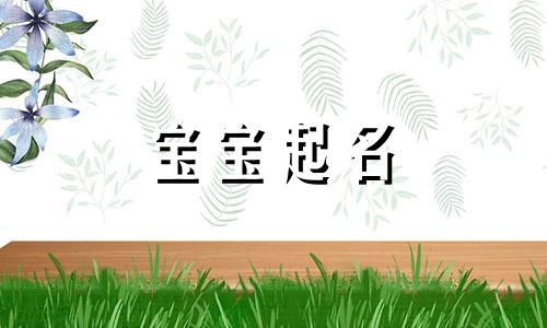 双胞胎含嘉字的名字推荐 双胞胎嘉字起名大全