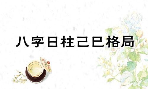 八字日柱己巳格局 八字日柱己巳代表什么