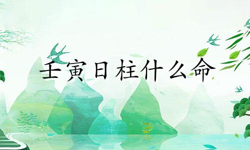 壬寅日柱什么命 八字中壬寅日柱