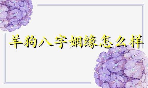 羊狗八字姻缘怎么样 属羊和属狗八字合不合