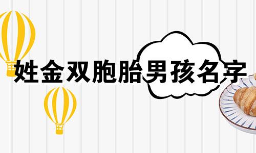 姓金双胞胎男孩名字 金氏男双胞胎起名大全