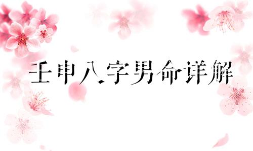 壬申八字男命详解 八字中壬申是什么意思