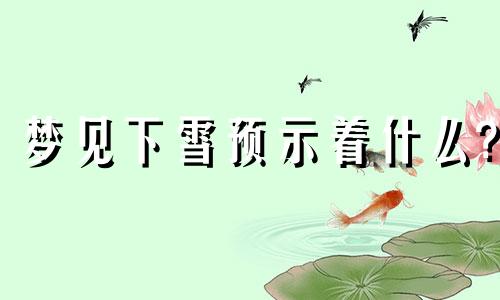 梦见下雪预示着什么? 梦见下雪意味着什么